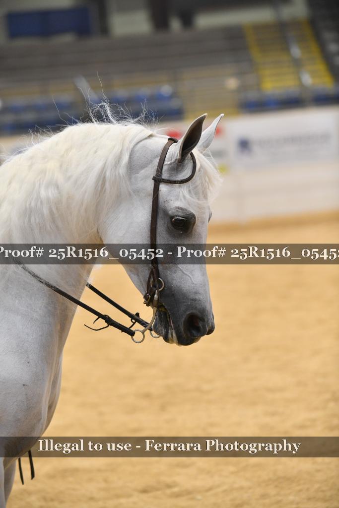 Proof Number 25R1516_05452