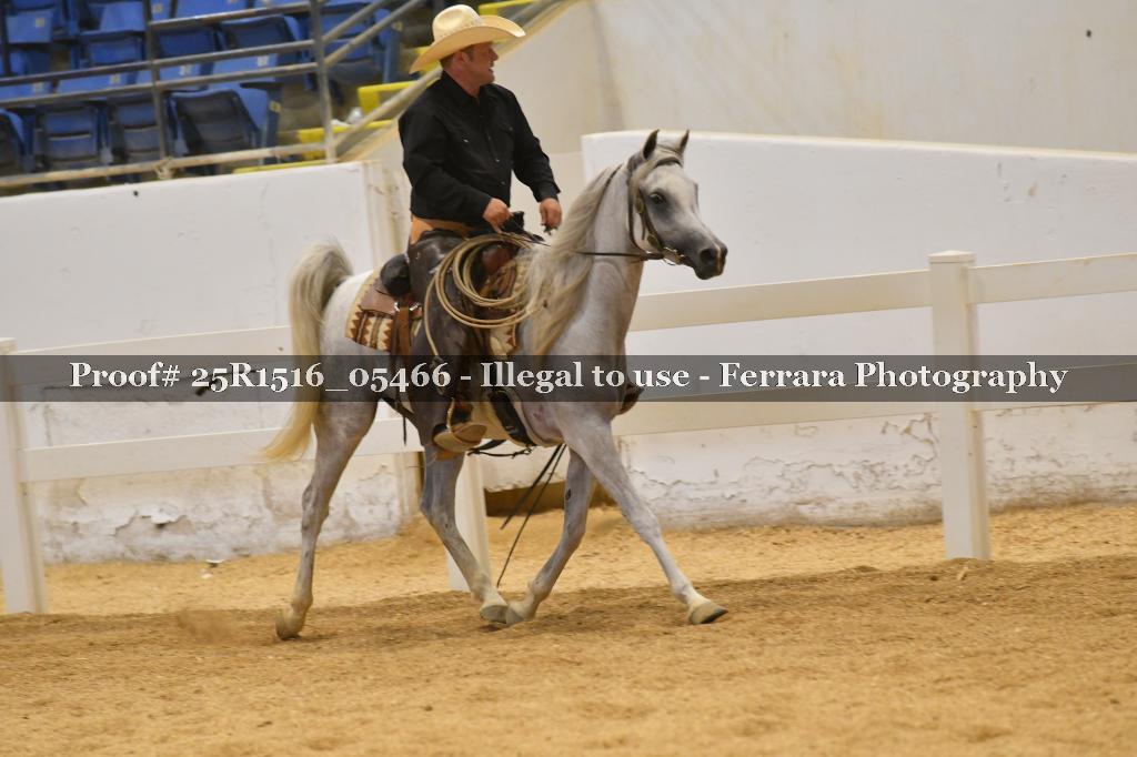 Proof Number 25R1516_05466