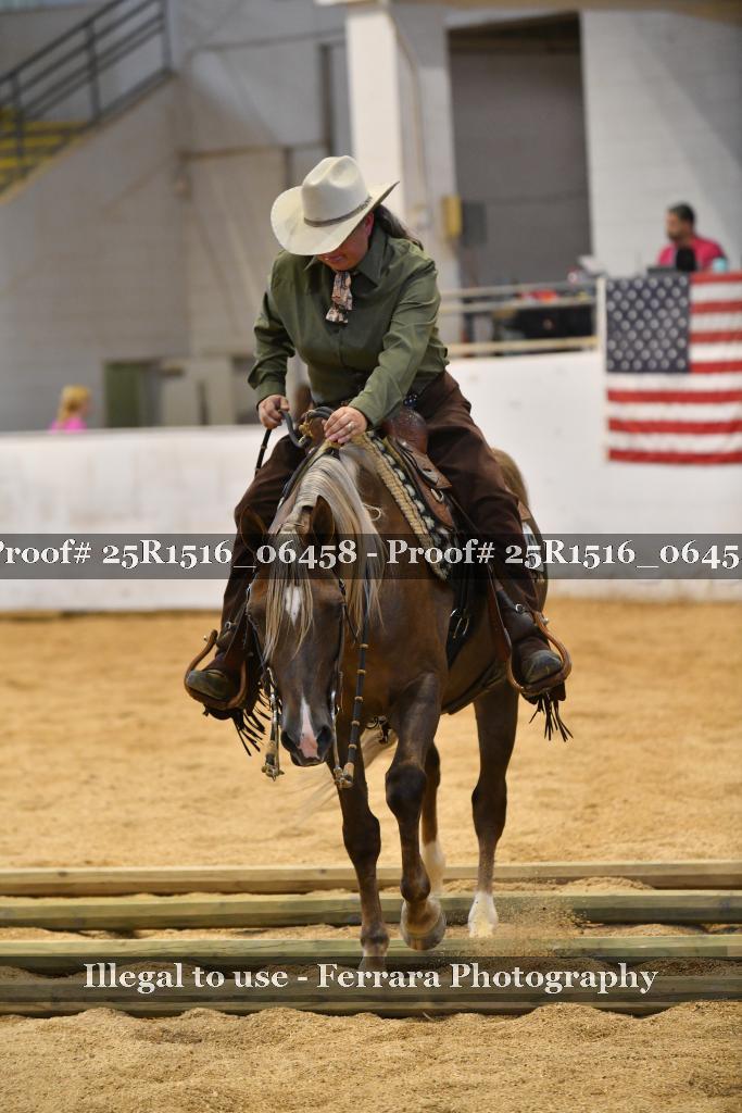 Proof Number 25R1516_06458