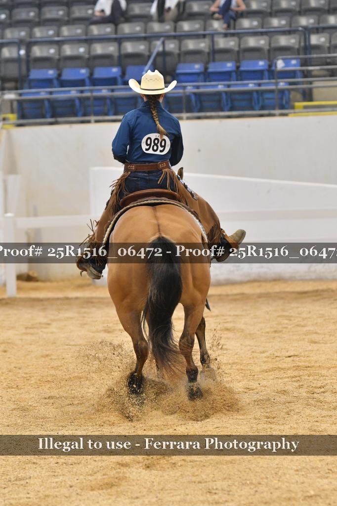 Proof Number 25R1516_06472