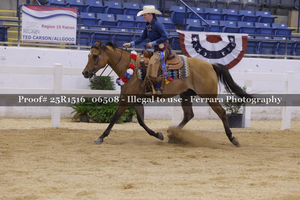 Proof Number 25R1516_06508