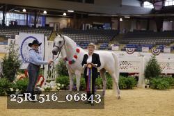 25R1516_06843 thumbnail