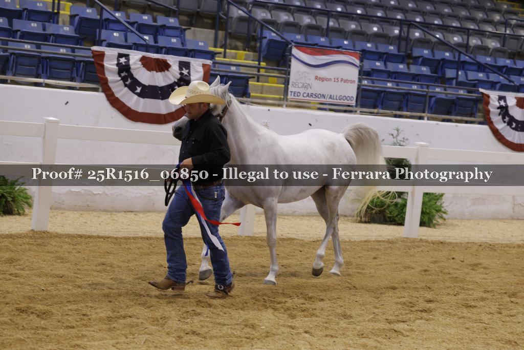 Proof Number 25R1516_06850