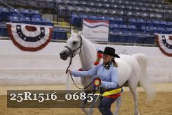 25R1516_06857 thumbnail