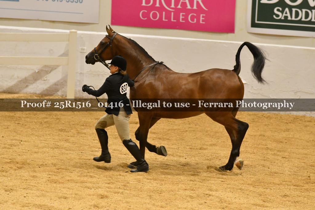 Proof Number 25R1516_01416