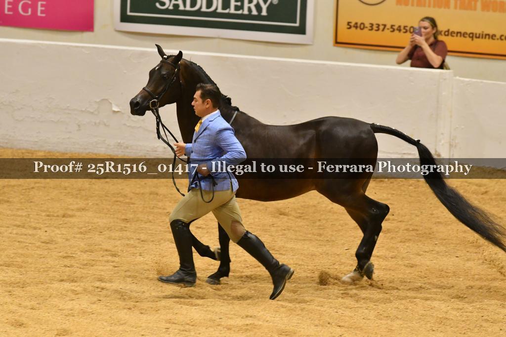 Proof Number 25R1516_01417