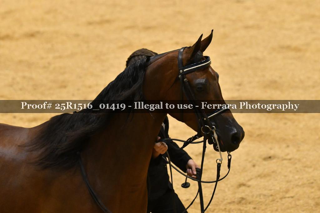 Proof Number 25R1516_01419
