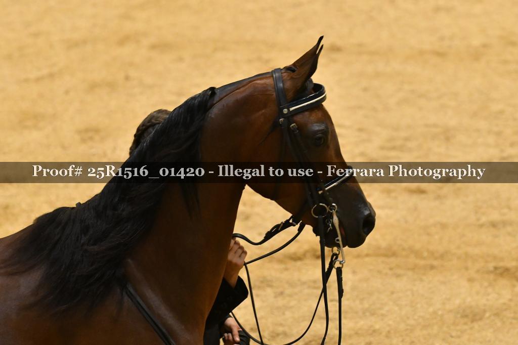 Proof Number 25R1516_01420