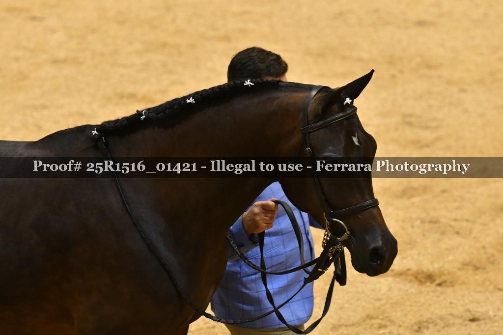 Proof Number 25R1516_01421