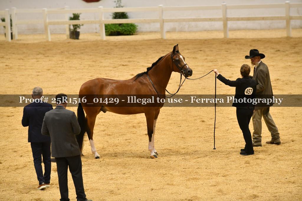 Proof Number 25R1516_01429