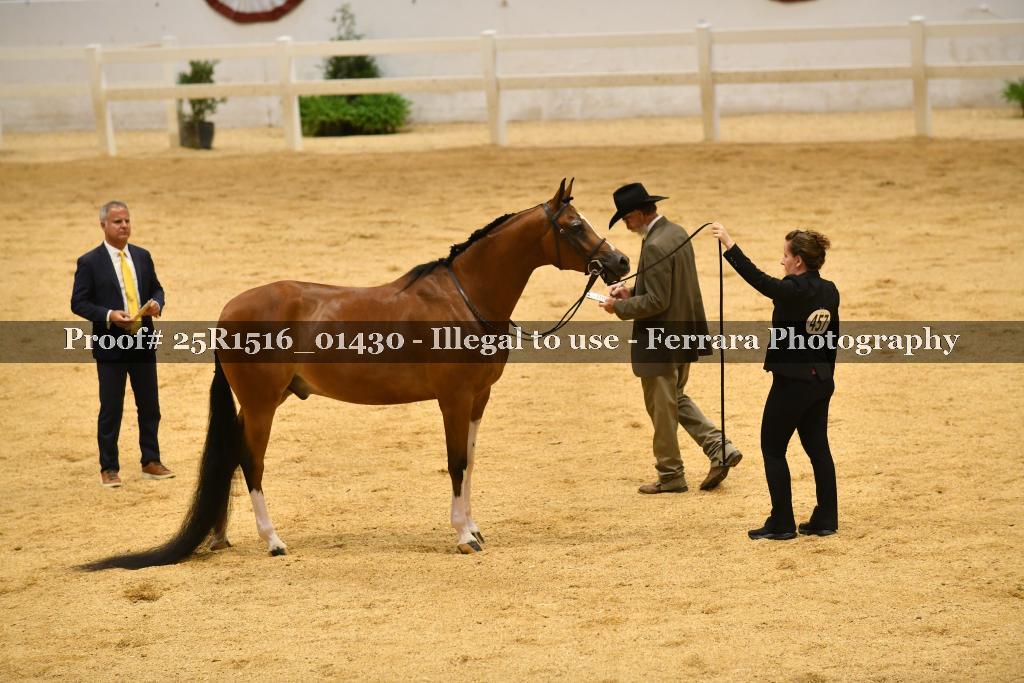 Proof Number 25R1516_01430