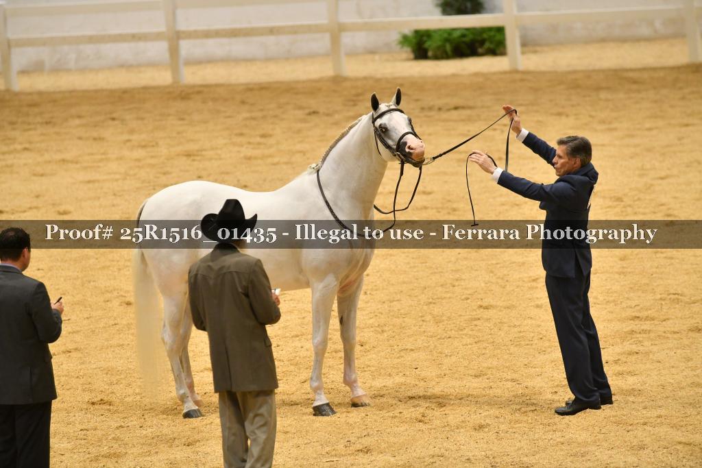 Proof Number 25R1516_01435