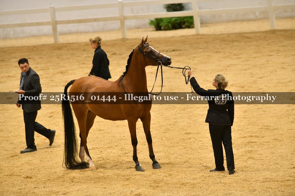 Proof Number 25R1516_01444