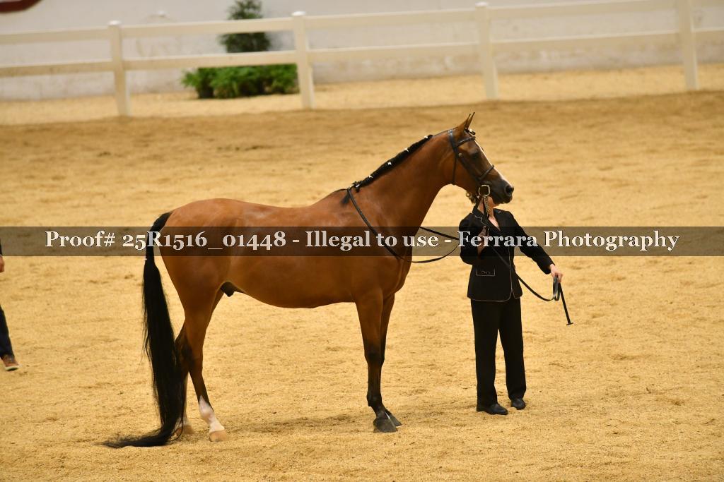 Proof Number 25R1516_01448