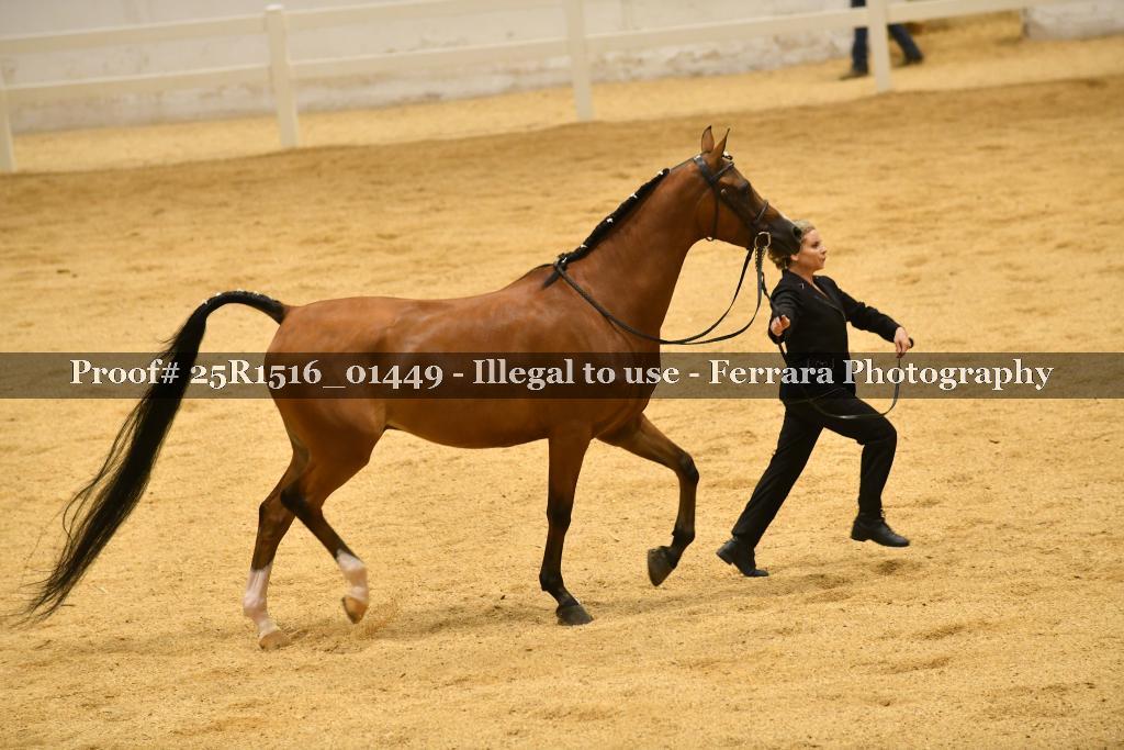 Proof Number 25R1516_01449