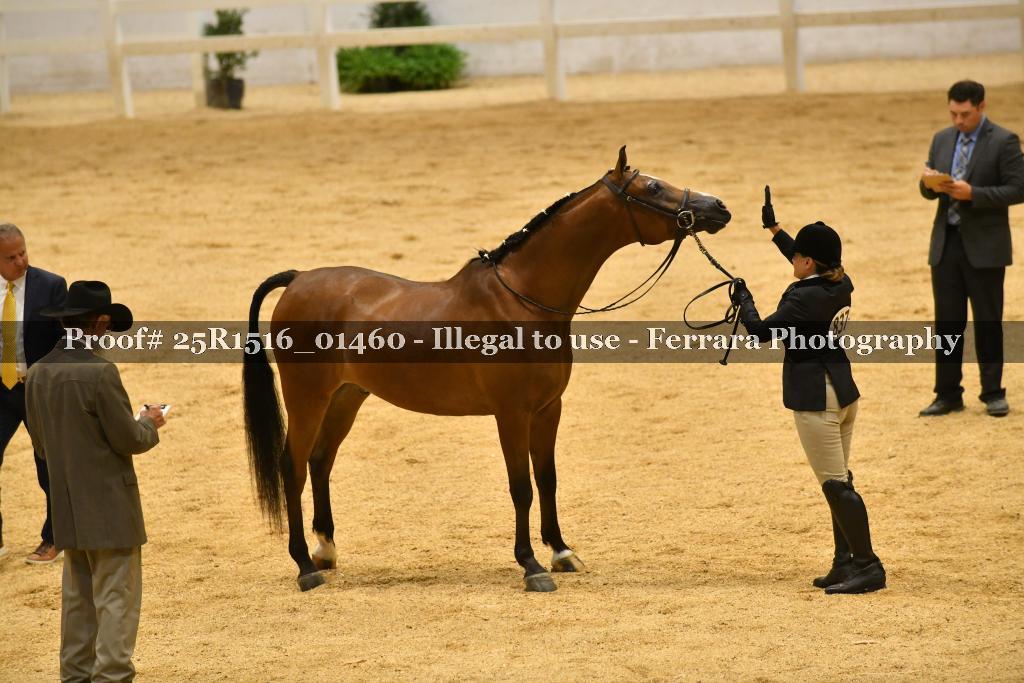 Proof Number 25R1516_01460