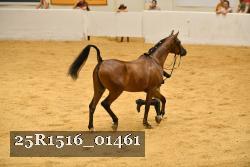 25R1516_01461 thumbnail