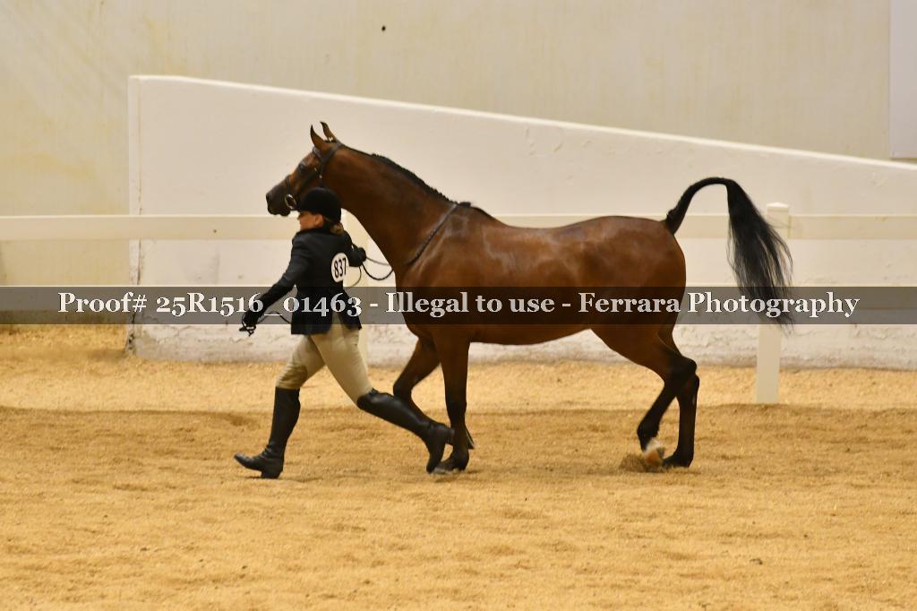 Proof Number 25R1516_01463