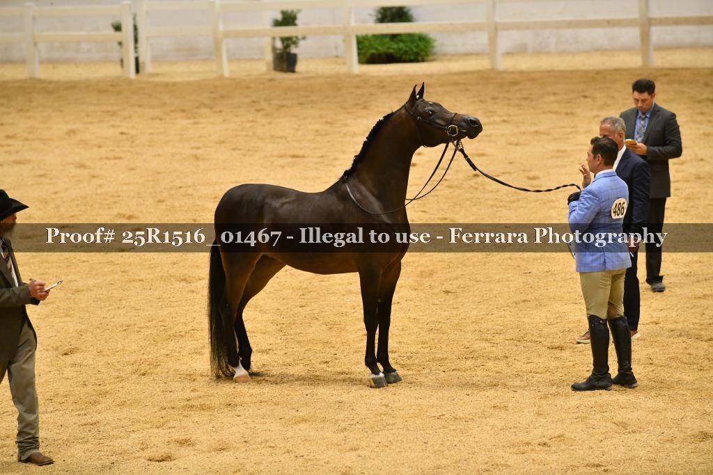 Proof Number 25R1516_01467