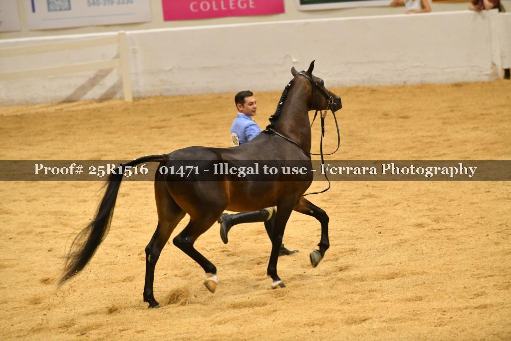 Proof Number 25R1516_01471