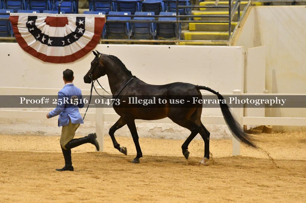 Proof Number 25R1516_01473