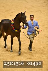 25R1516_01490 thumbnail