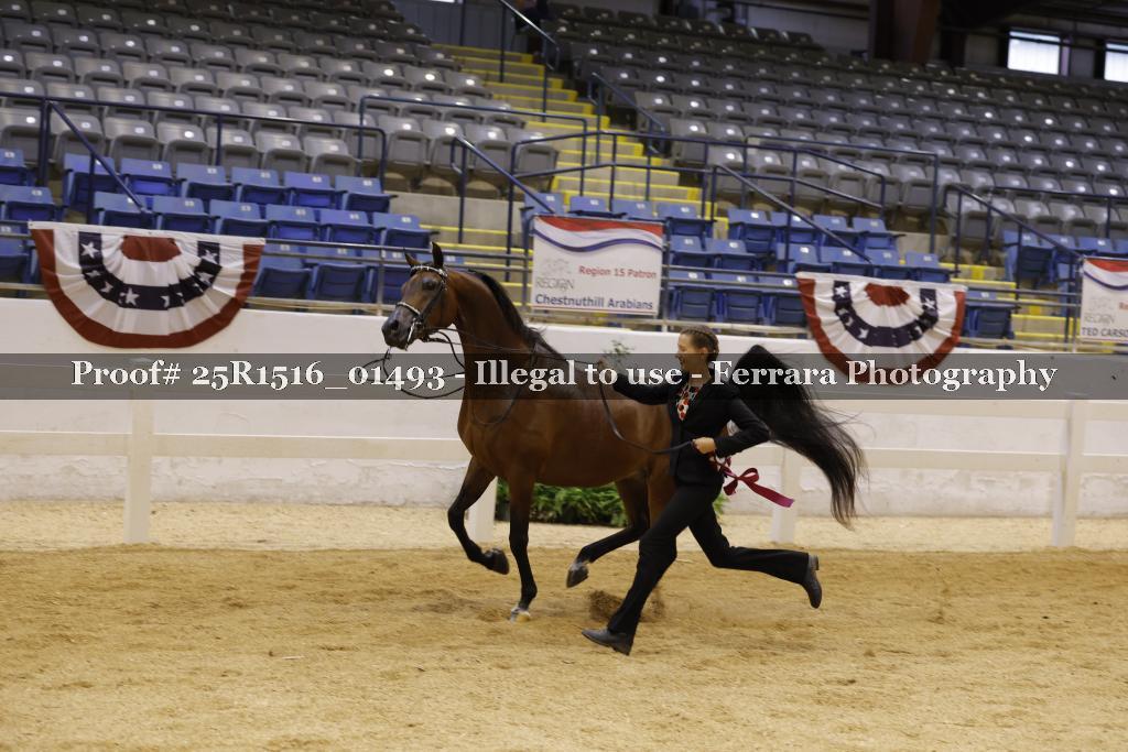 Proof Number 25R1516_01493