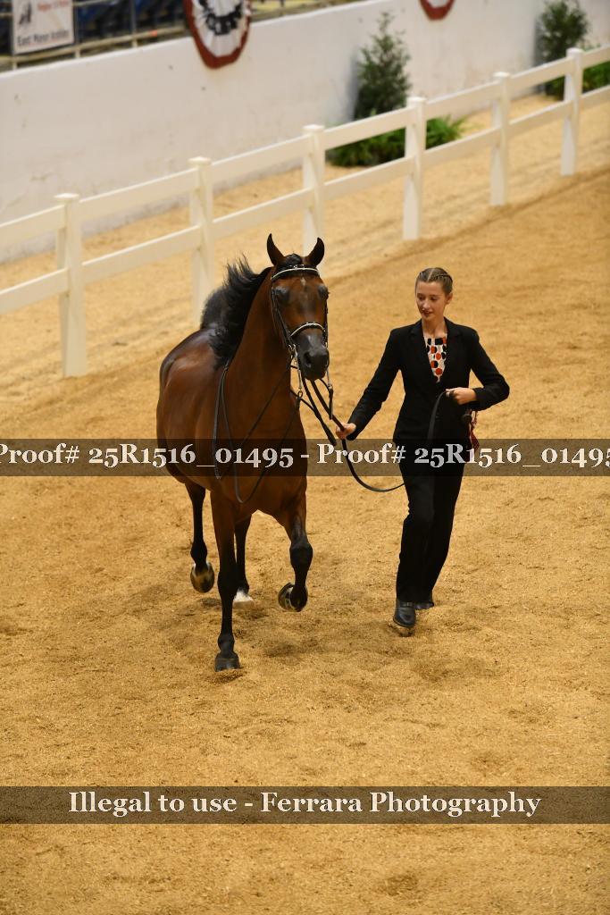 Proof Number 25R1516_01495