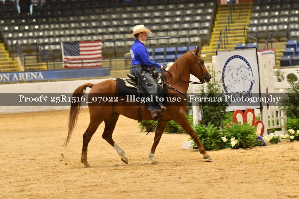Proof Number 25R1516_07022
