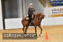 25R1516_07497 thumbnail