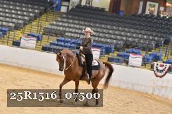 25R1516_07500 thumbnail