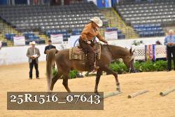 25R1516_07643 thumbnail