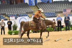 25R1516_07644 thumbnail