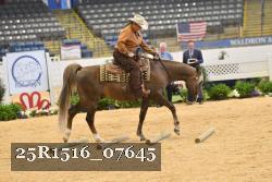 25R1516_07645 thumbnail