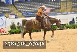 25R1516_07646 thumbnail