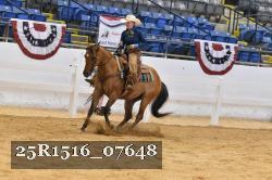 25R1516_07648 thumbnail