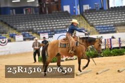 25R1516_07650 thumbnail