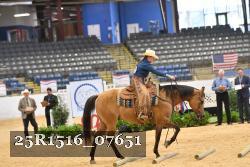 25R1516_07651 thumbnail
