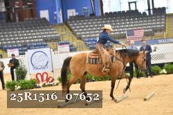 25R1516_07652 thumbnail