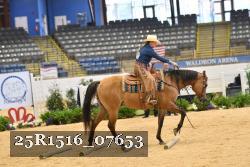 25R1516_07653 thumbnail