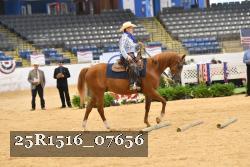 25R1516_07656 thumbnail