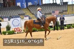25R1516_07658 thumbnail