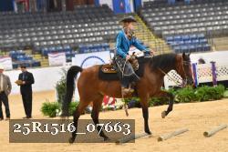 25R1516_07663 thumbnail
