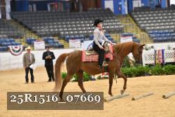 25R1516_07669 thumbnail