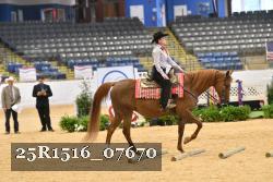 25R1516_07670 thumbnail