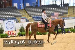25R1516_07671 thumbnail