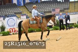 25R1516_07675 thumbnail