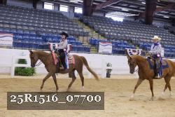 25R1516_07700 thumbnail
