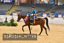 25R1516_07719 thumbnail