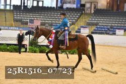 25R1516_07723 thumbnail